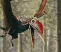 Kunpengopterus