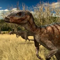 Orodromeus