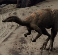 Thescelosaurus