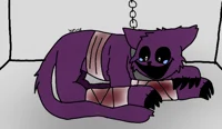 Catnap