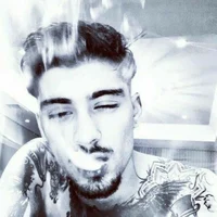 zayn malik-2022