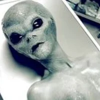 Female Gray Alien