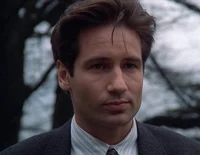 XF - Fox Mulder
