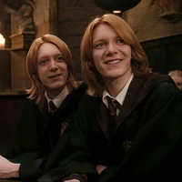 WEASLEY TWINS
