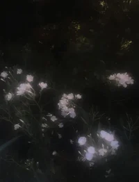 UnknownHasQuit