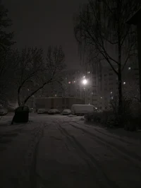 Судная ночь