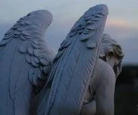 - Angel Prince -