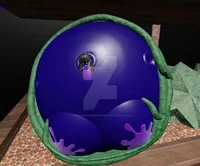 Blueberry Doting