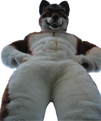 Rogue Megawolf 