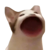 Fensi