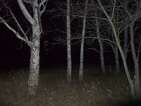 Creepypasta RPG