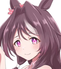 Sakura Chitose O