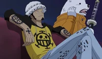 Trafalgar Law