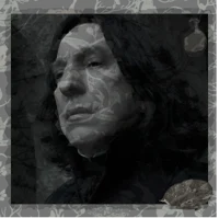Severus T Snape