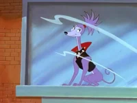 Belladonna