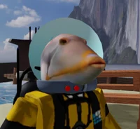 Adam
