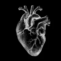 My heart is yours