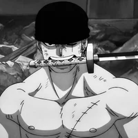 012 - Zoro Roronoa