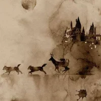 Marauders Era