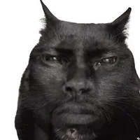 Damian