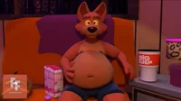Callaghan Fat Fox