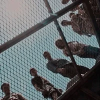 The Maze Runners