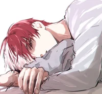 Shoto Todoroki 