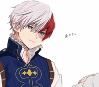 Shoto Todoroki 