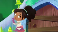 Princess Knight
