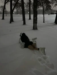 Snowstorm Girl