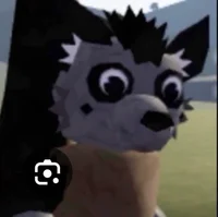 Hayden Hyena