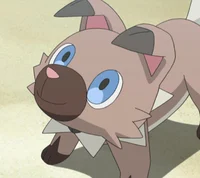 Rockruff - Pkmn