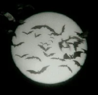 Bats