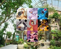 Avian Collection