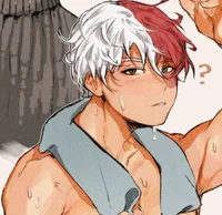 Shoto Todoroki 