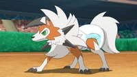 A diapered Lycanroc