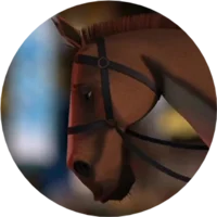 Police horse 