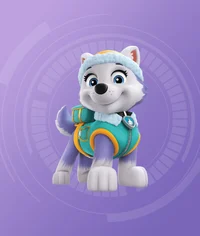 paw transformation