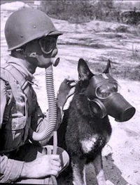 WW2