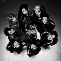 Stray kids 