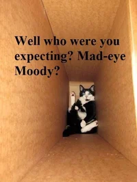 The Mad Eye