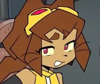 Kit