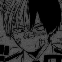 Shoto Todoroki