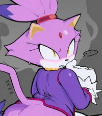 Blaze The Cat