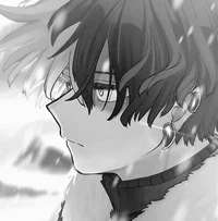 Shoto Todoroki