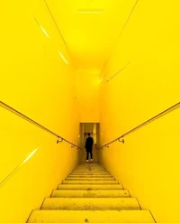 03 - AVATAR