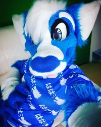 Pocari roo 