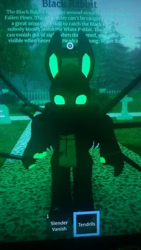 Black Rabbit