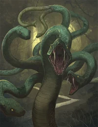 Own hydra