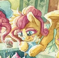 The Pony Enthusiast